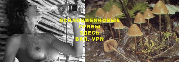 2c-b Беломорск