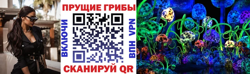 Псилоцибиновые грибы Psilocybine cubensis  блэк спрут ссылка  Зверево 