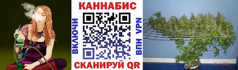 наркота  OMG   Шишки марихуана SATIVA & INDICA  Зверево 